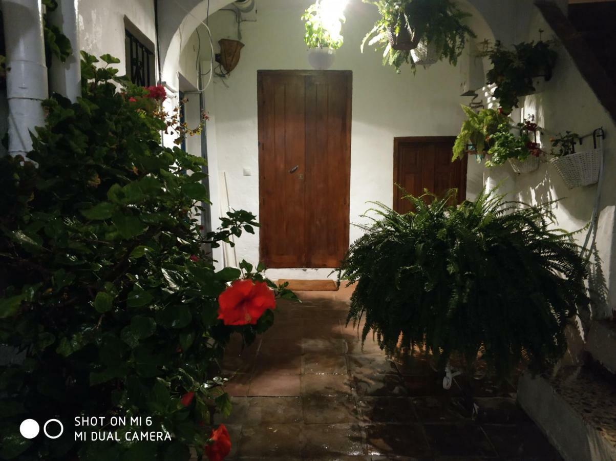 The Best In The Center Of Tarifa Apartment Exterior photo